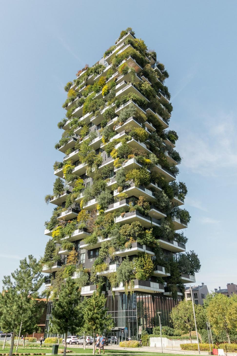 Eco-Friendly Office